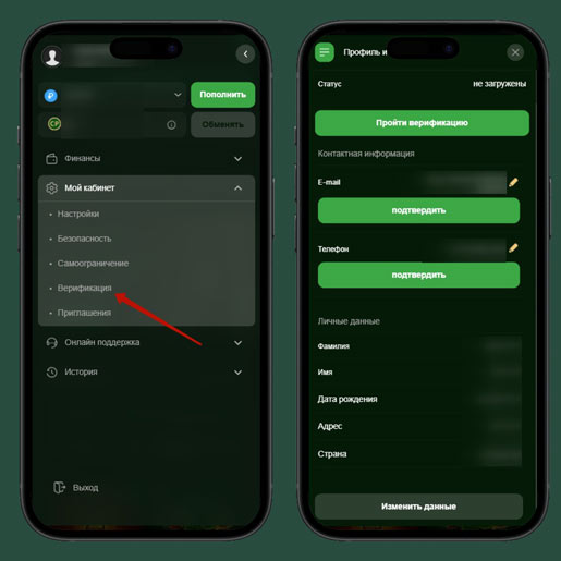 Верификация личности