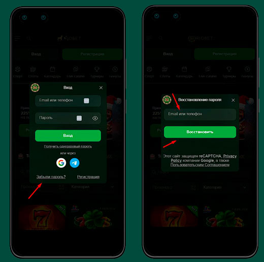 Восстановление аккаунта в Riobet Casino